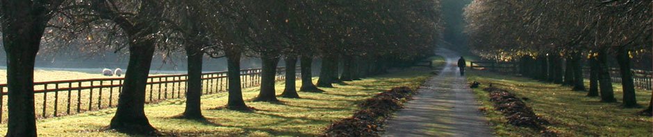 Gremberghes Blog