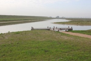 Nieuwe natuur in het glastuinbouwgebied Autriche/Koegorspolder bij Westdorpe.