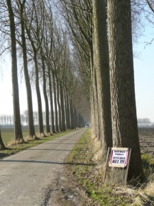 Hedwigepolder in de winter